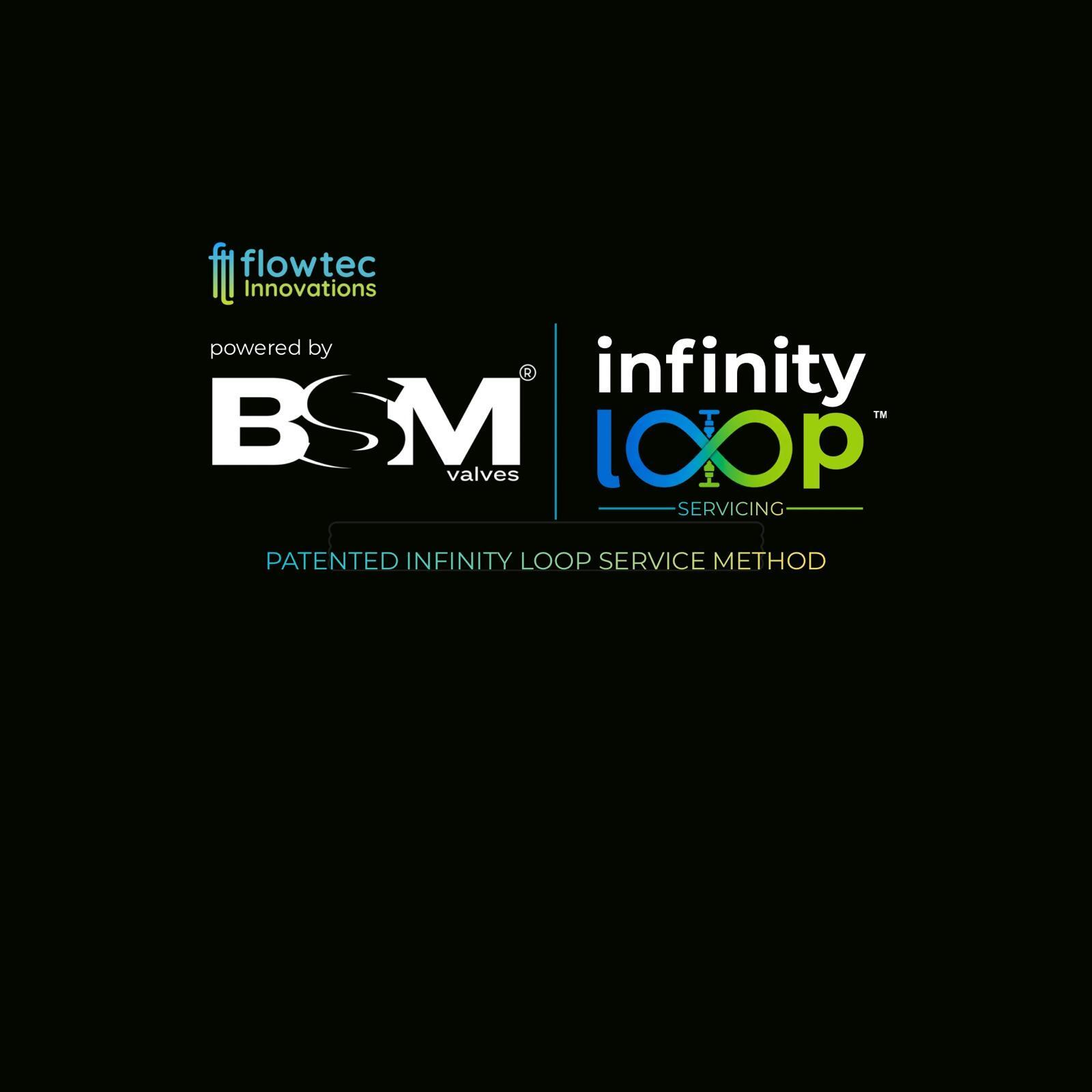 BSM - Infinity Loop Logo