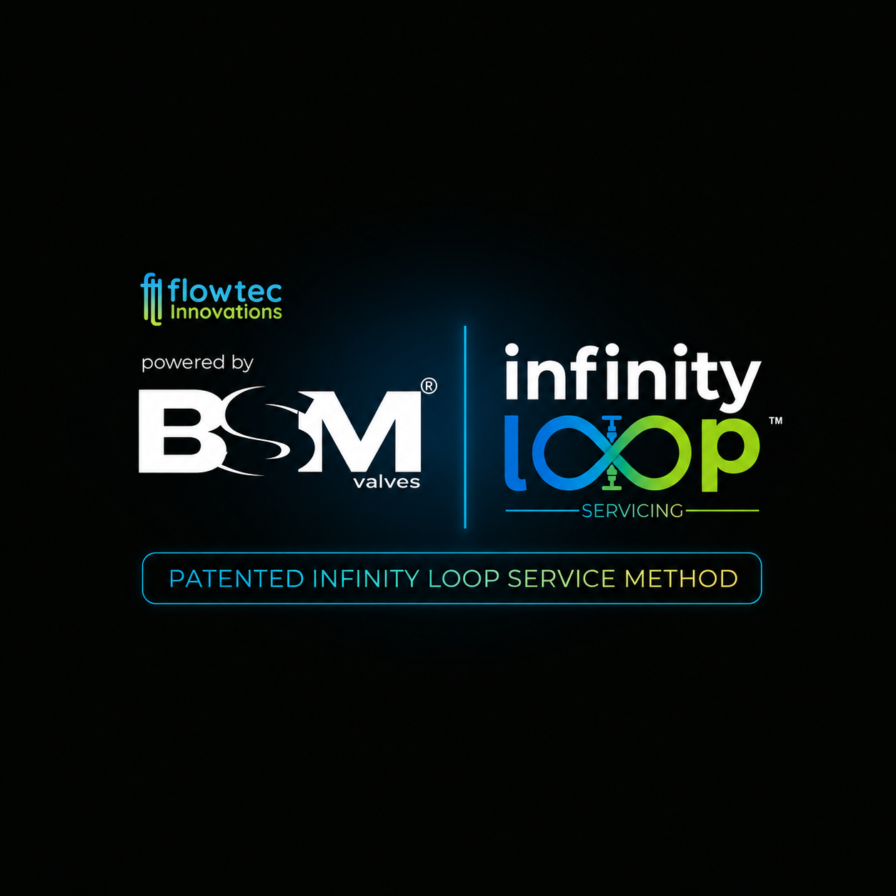 BSM Logo for website